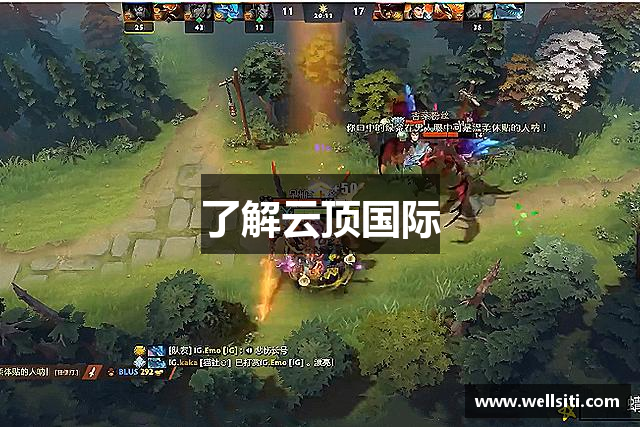 了解云顶国际